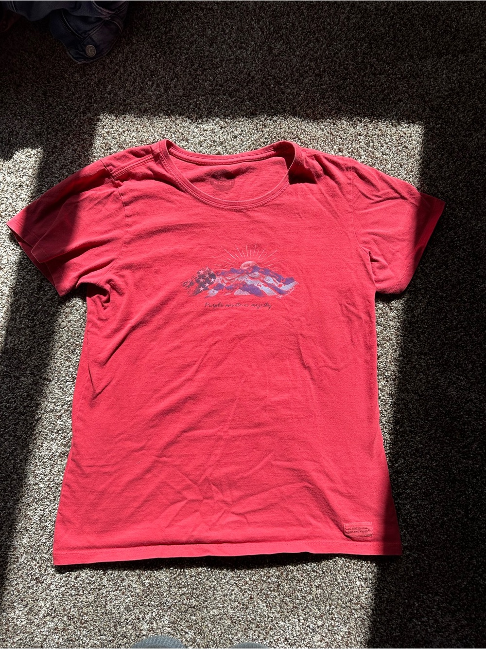Life Is Good purple mountains majesty cotton tee shirt
